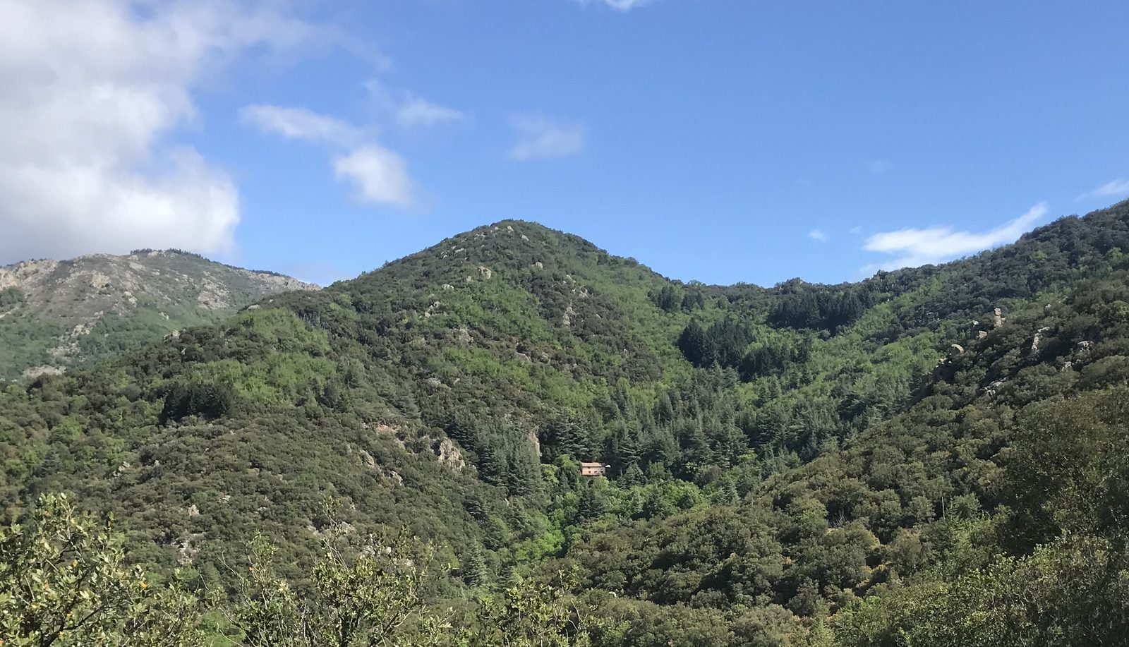 Le centre Haimavati vu depuis la forêt, à Mons dans l'Hérault